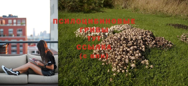 MESCALINE Беломорск